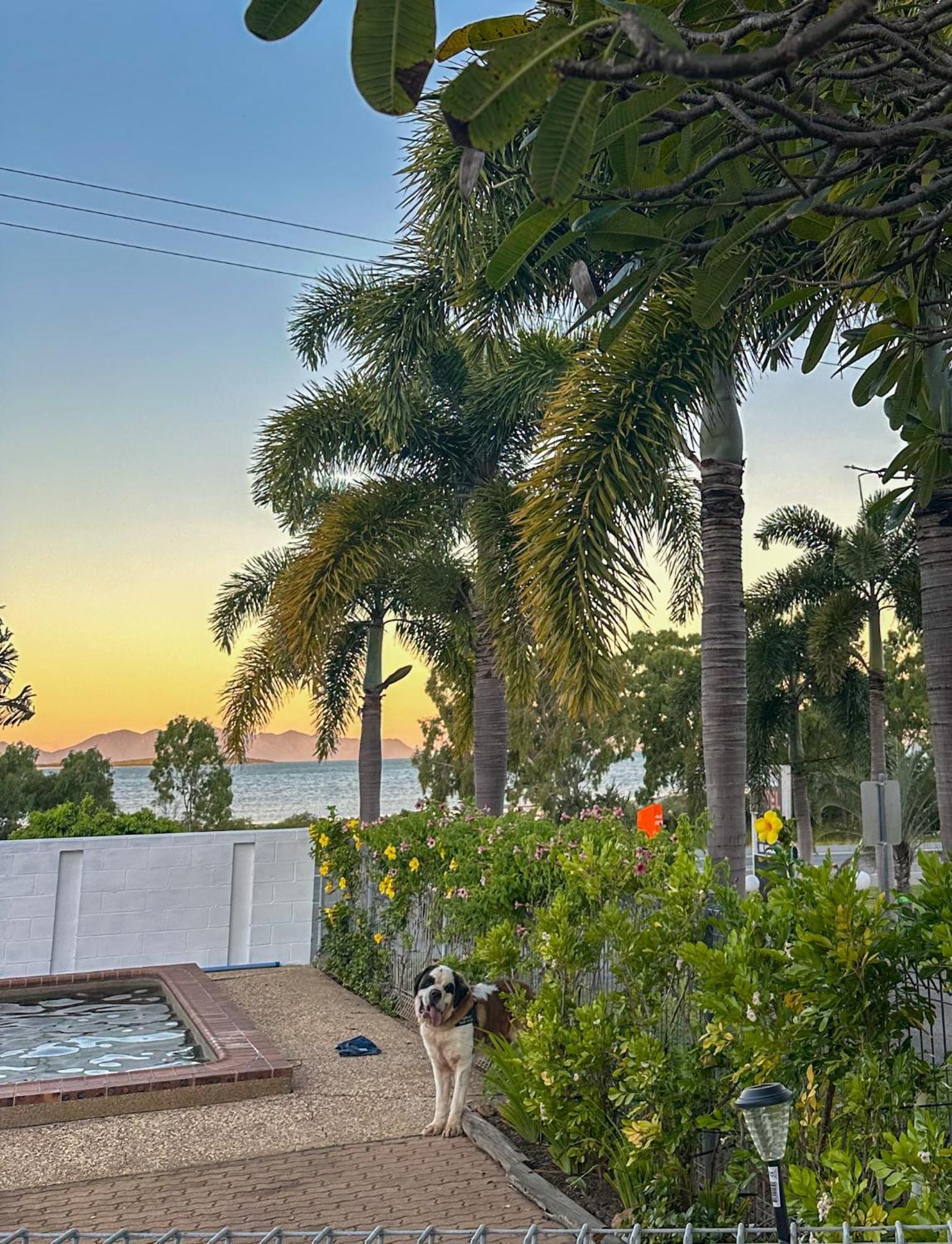 Ocean View Motel Боуен Екстериор снимка